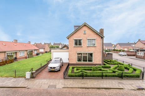 undefined main image