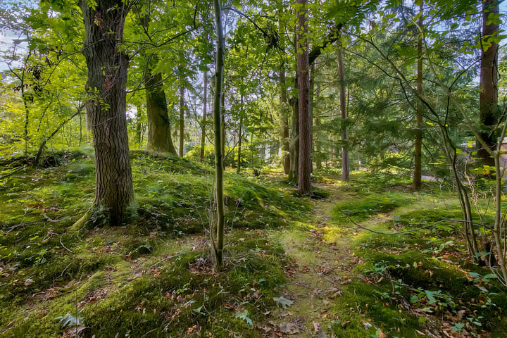 Bekijk foto 5 van Prins Constantijnlaan 3