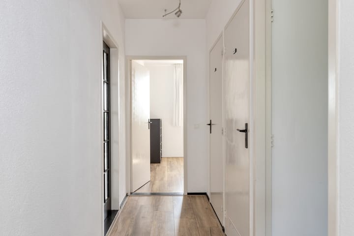 Foto 16 van Maassingel 42