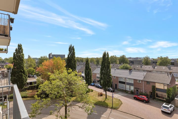 Foto 42 van Maassingel 42