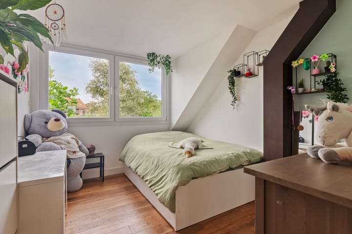 Foto 25 van Zwingelmolen 13