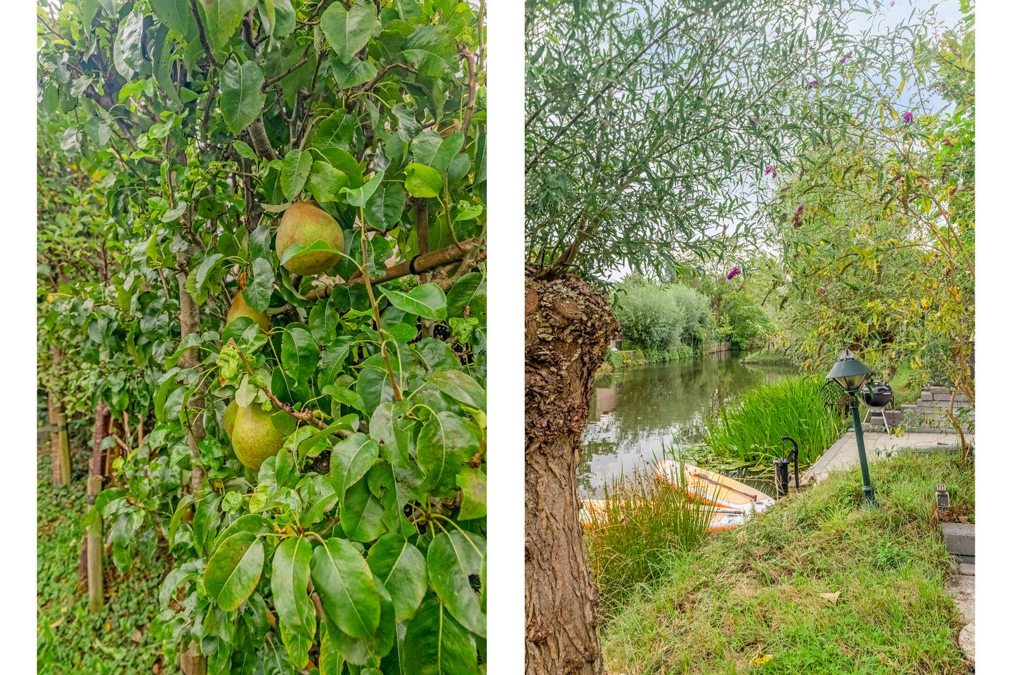 Photo 35 of Zwingelmolen 13