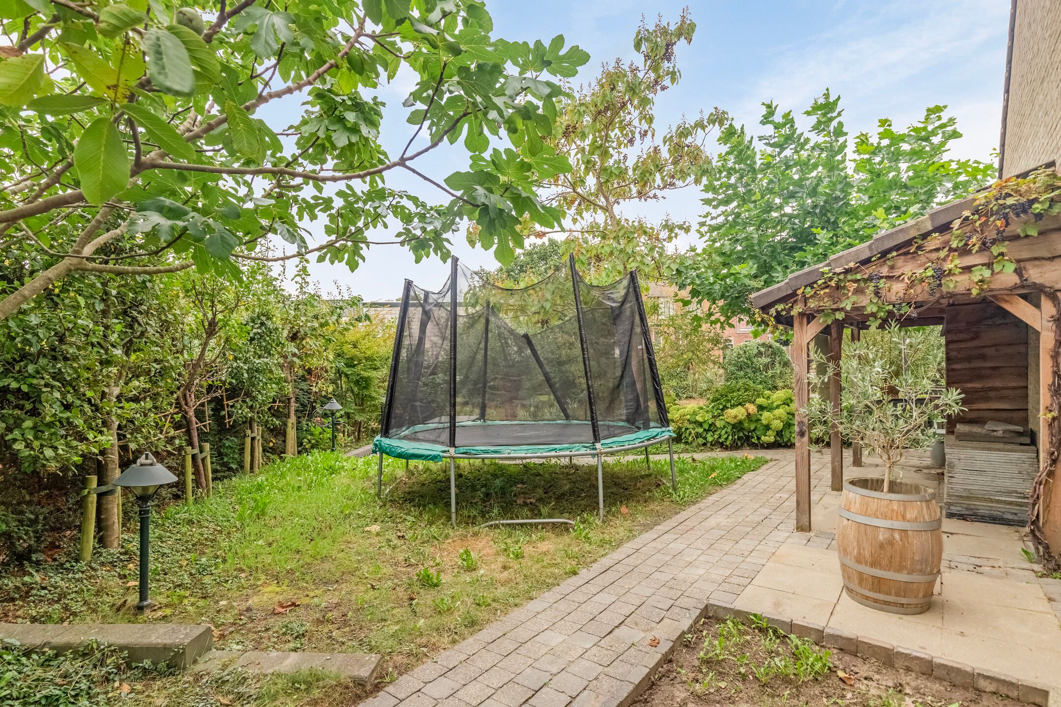 Photo 39 of Zwingelmolen 13