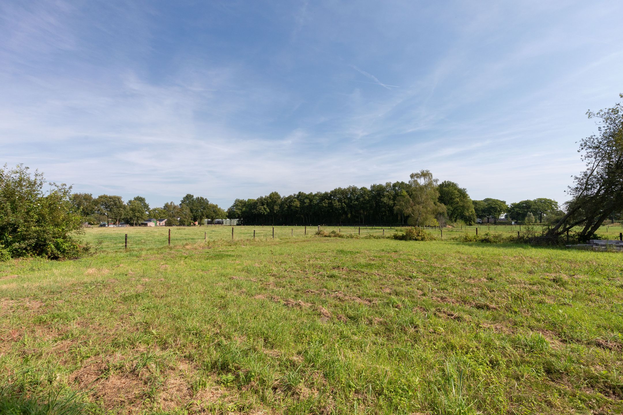 Foto 48 van Lierderstraat 65