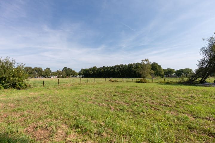 Foto 48 van Lierderstraat 65