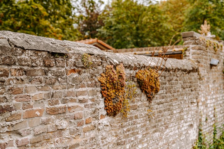 Foto 38 van Oenselsestraat 27-C