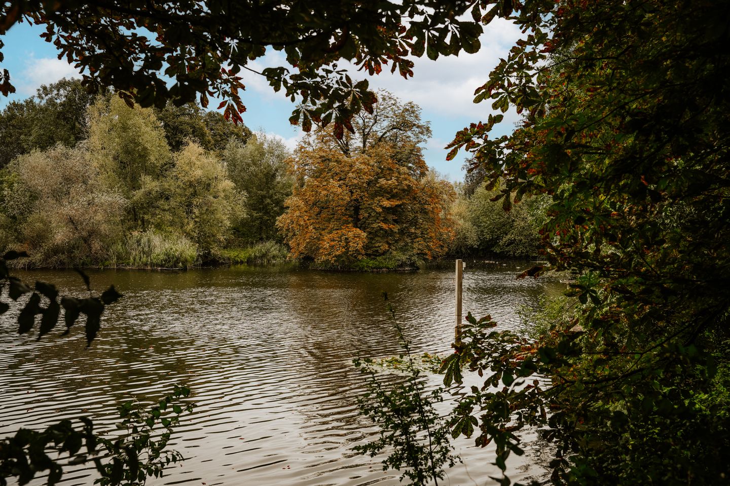 Foto 44 van Oenselsestraat 27-C