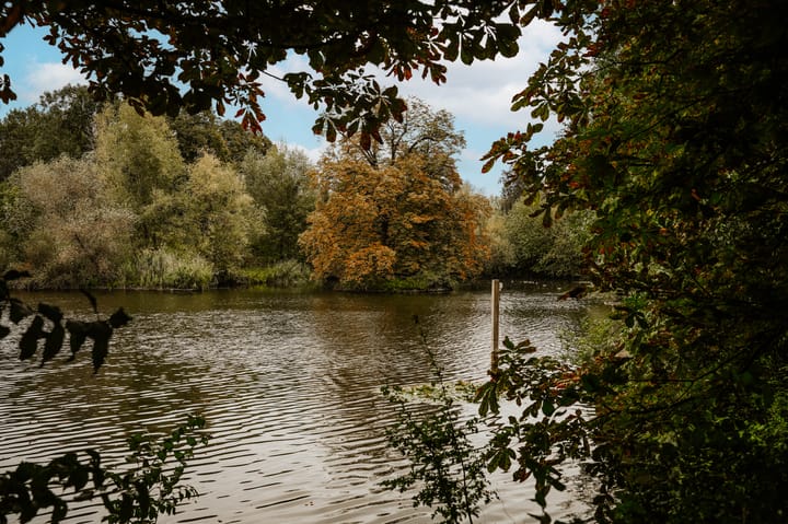 Foto 44 van Oenselsestraat 27-C