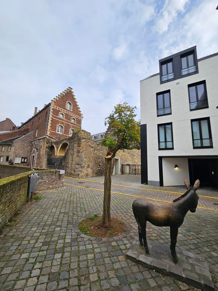 Foto 12 van Looiershof