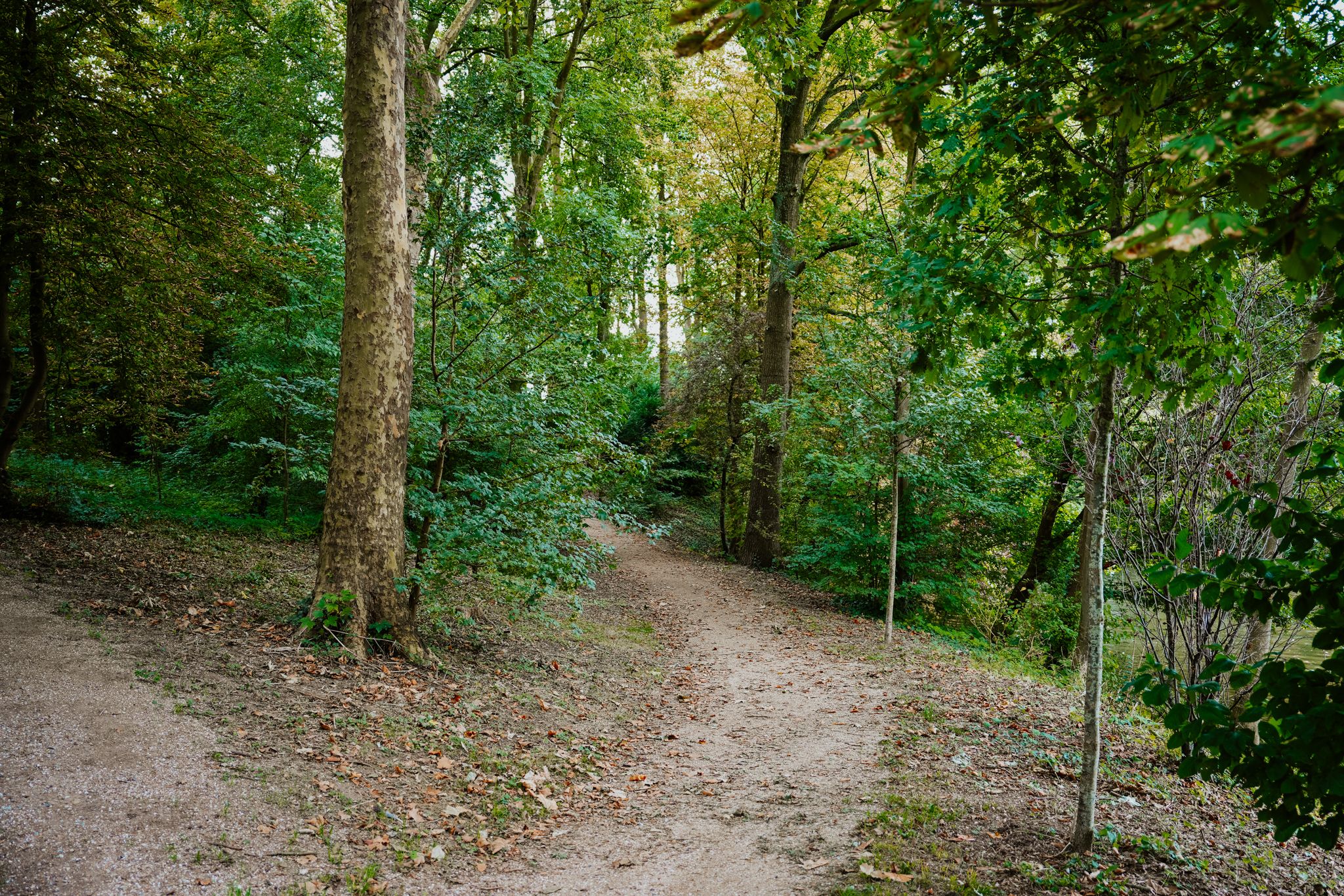 Foto 45 van Oenselsestraat 27-C