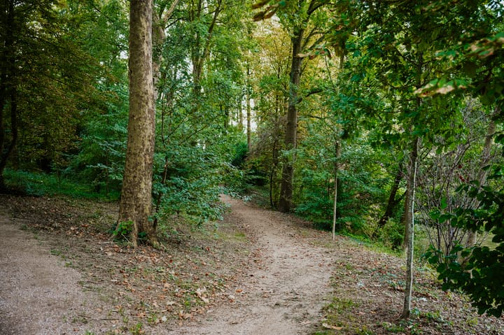 Foto 45 van Oenselsestraat 27-C