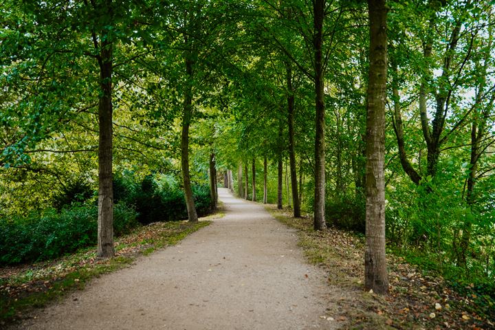 Bekijk foto 46 van Oenselsestraat 27-C