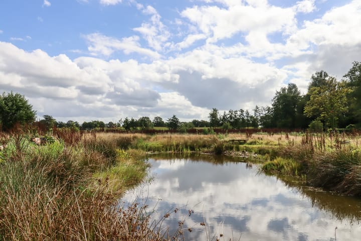 Foto 66 van Weinterp 37