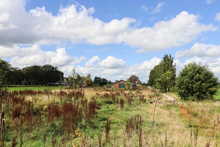 Foto 76 van Weinterp 37