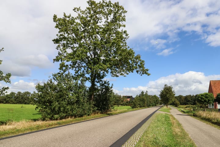 Foto 77 van Weinterp 37