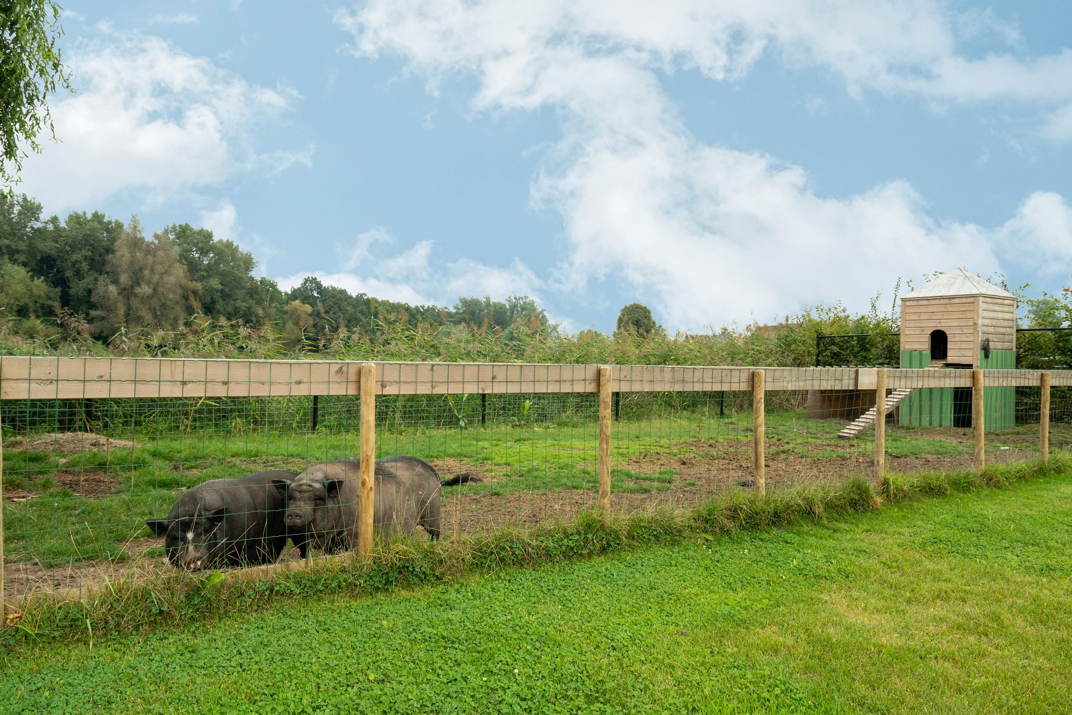 Foto 63 van Veluwstraat 30-A