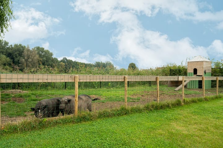 Foto 63 van Veluwstraat 30-A