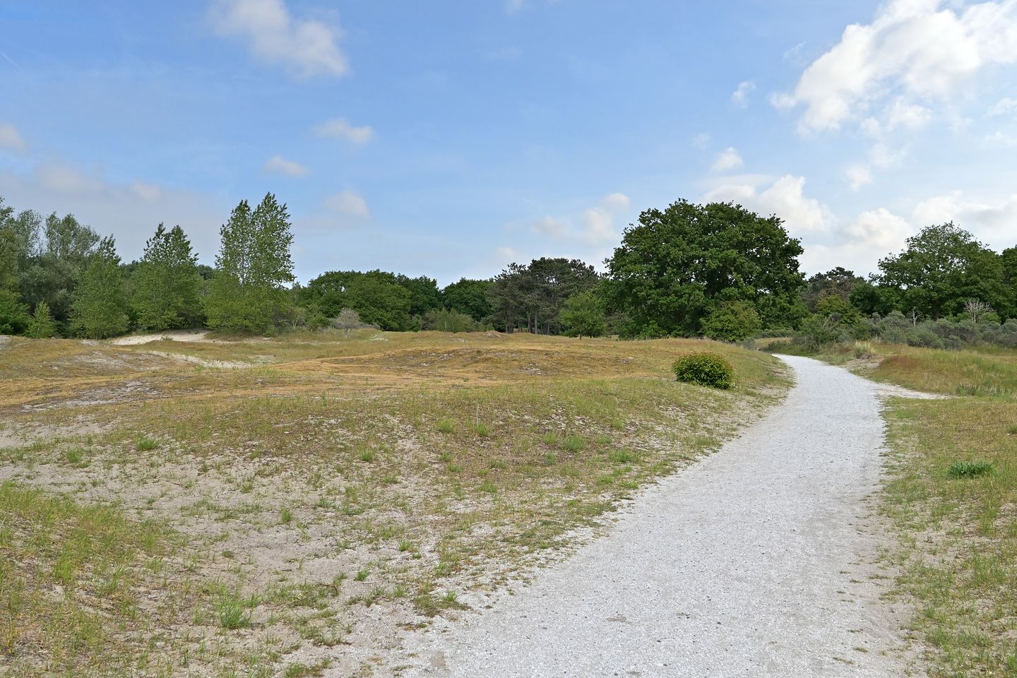 Foto 50 van Waalsdorperweg 122