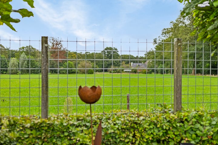 Bekijk foto 31 van Speltstraat 39