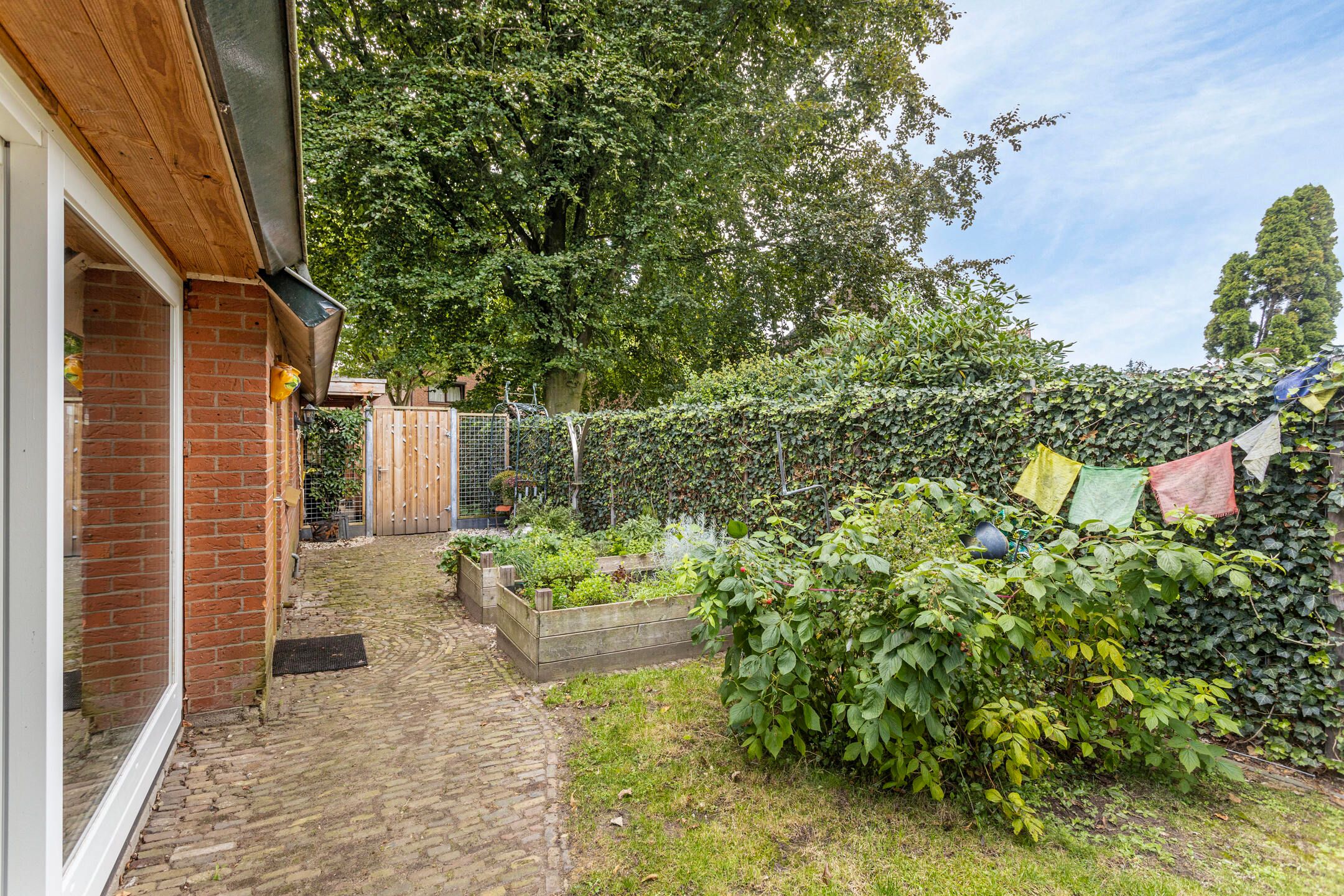 Foto 33 van Roggestraat 8