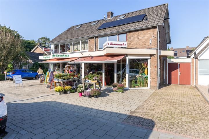 Bekijk foto 1 van Koenestraat 6