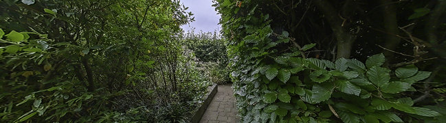 Bekijk 360° foto van Tuin van Buizerdweg 31