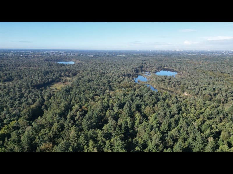 Foto 5 van Oirschotsebaan 3