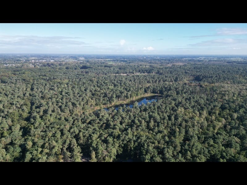 Foto 7 van Oirschotsebaan 3