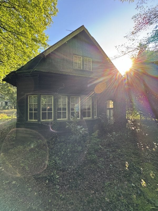 Foto 8 van Oirschotsebaan 3