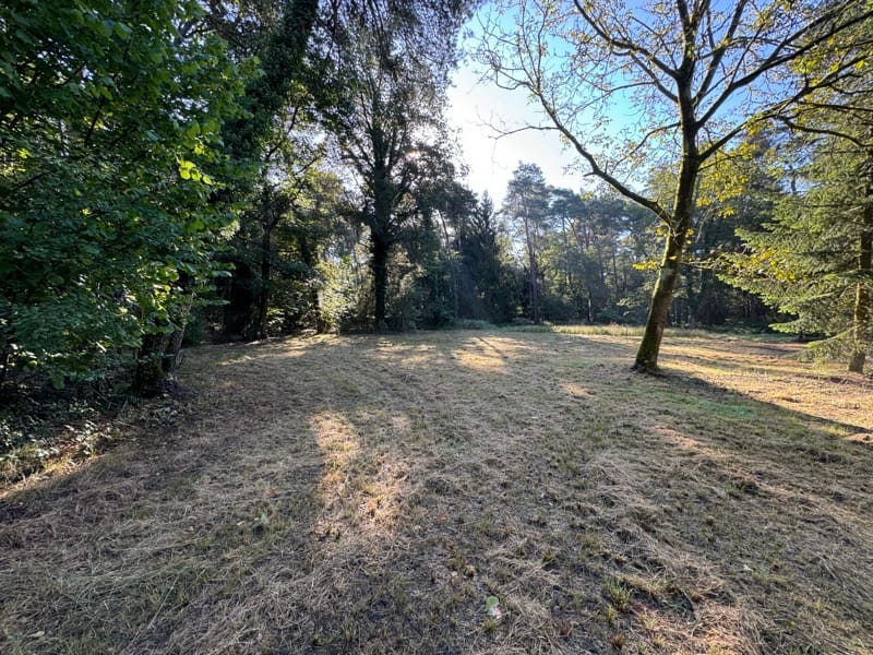 Foto 9 van Oirschotsebaan 3