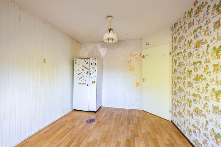 Foto 19 van Emingaheerd 43