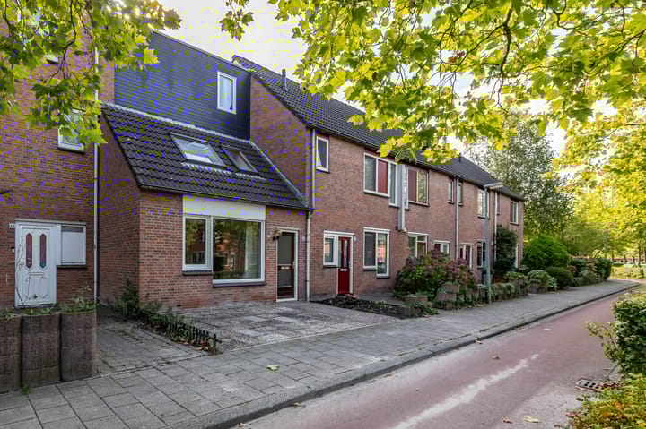 Foto 39 van Emingaheerd 43