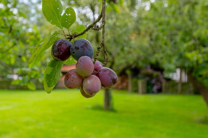 Foto 96 van Middelweg West 16