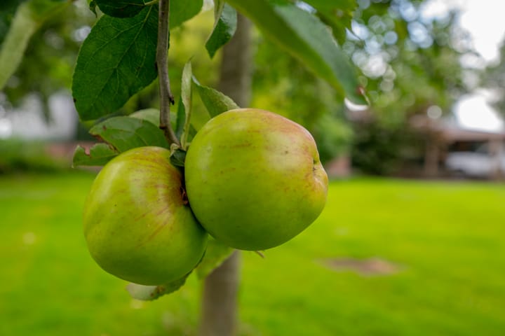 Foto 97 van Middelweg West 16