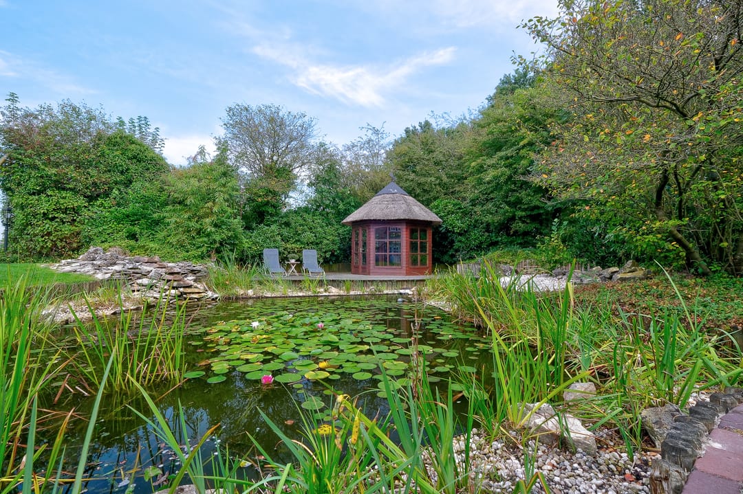 Foto 56 van Mienscheer 2-B