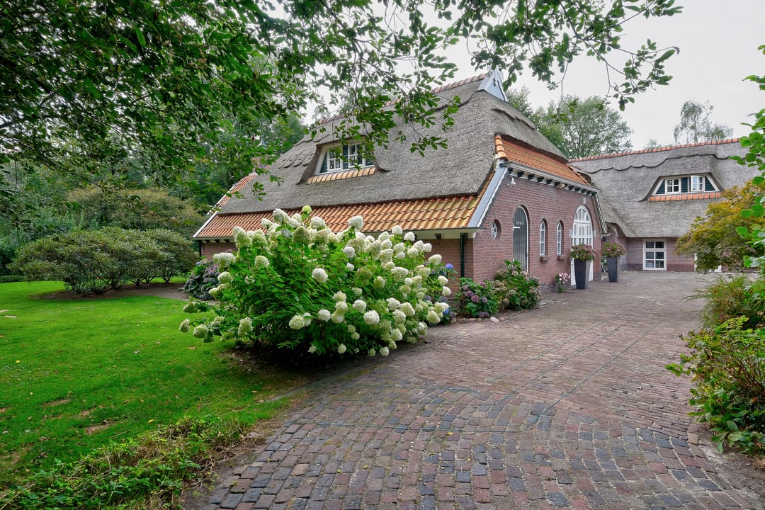 Foto 68 van Mienscheer 2-B