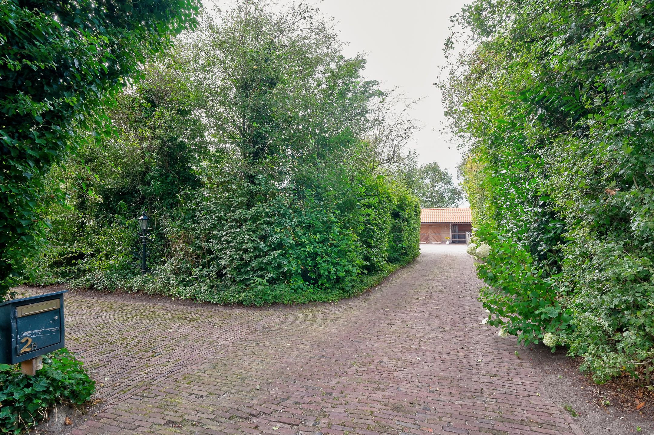 Foto 78 van Mienscheer 2-B