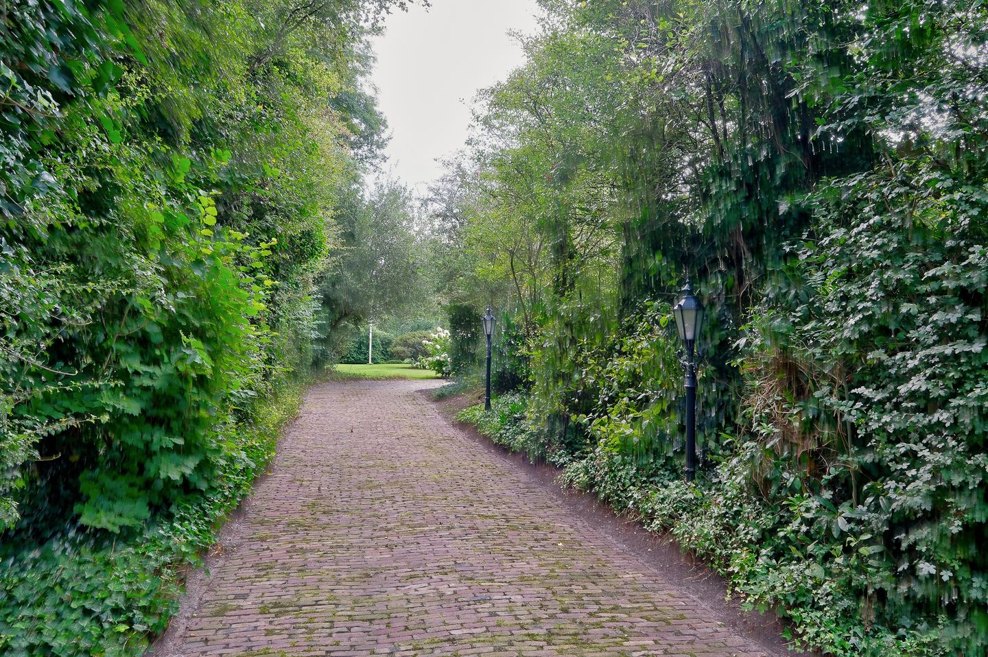 Foto 79 van Mienscheer 2-B