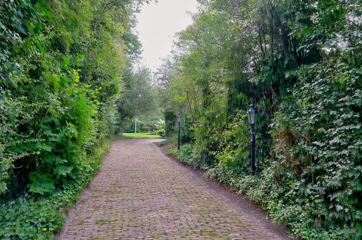 Foto 79 van Mienscheer 2-B