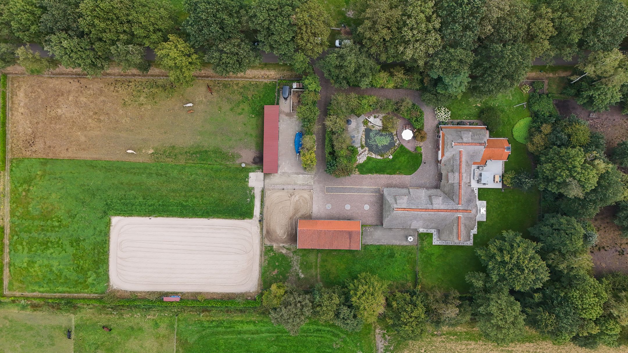 Foto 84 van Mienscheer 2-B