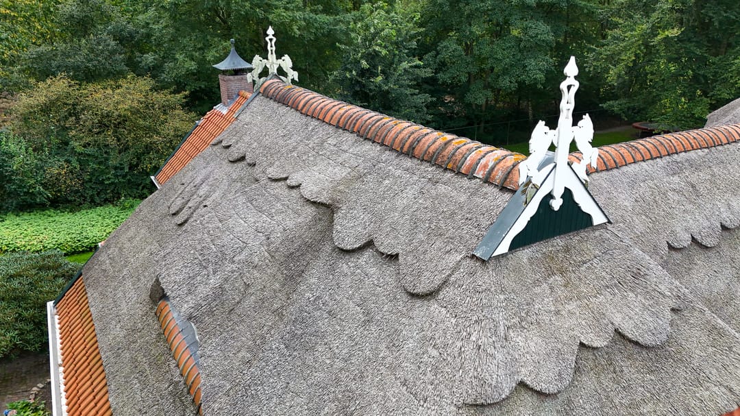 Foto 88 van Mienscheer 2-B