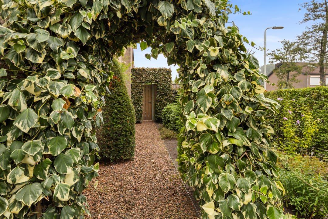 Foto 37 van Cameedijk 5