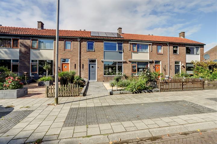 Bekijk foto 1 van Paulus Potterstraat 7