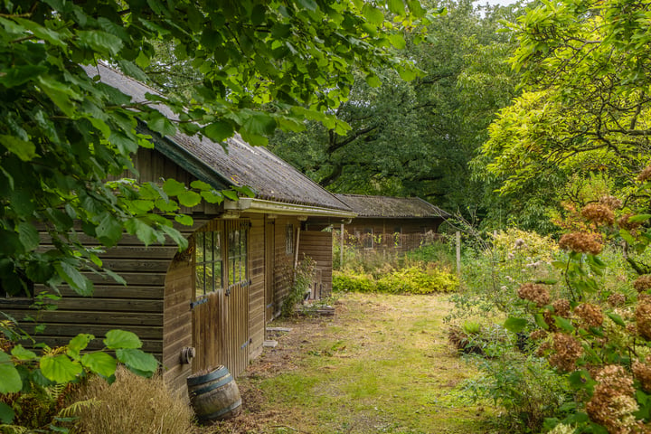 Bekijk foto 15 van Groningerweg 47