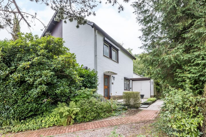 Foto 4 van Grensweg 10