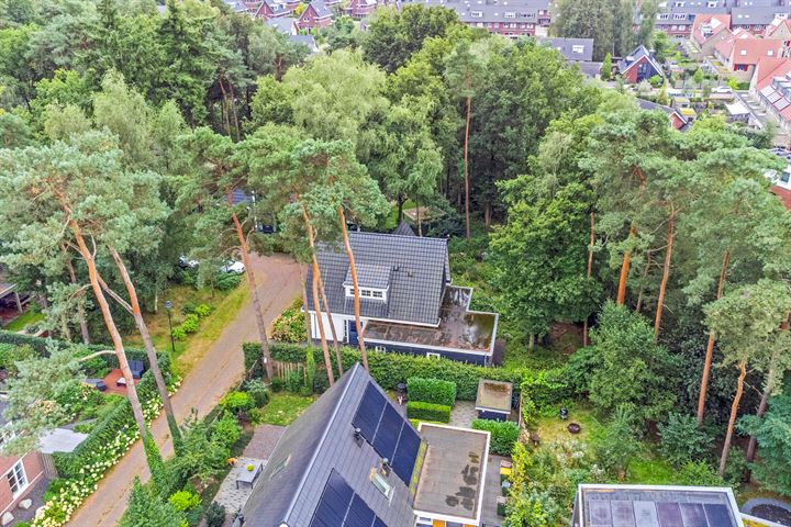 View photo 53 of Scheerboom 2