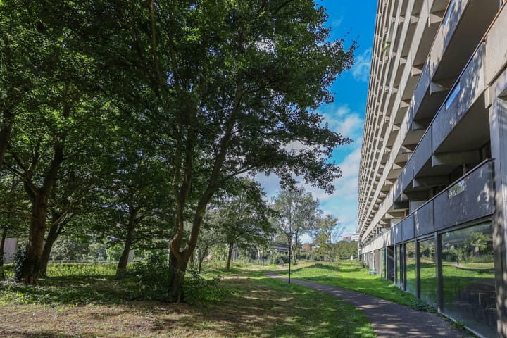 Foto 43 van Kleiburg 1018