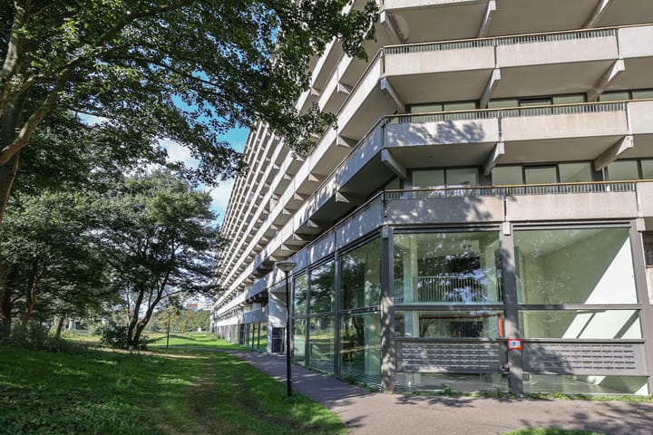 Foto 45 van Kleiburg 1018