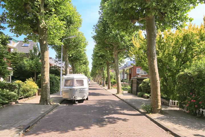 Bekijk foto 15 van Ibisstraat 25