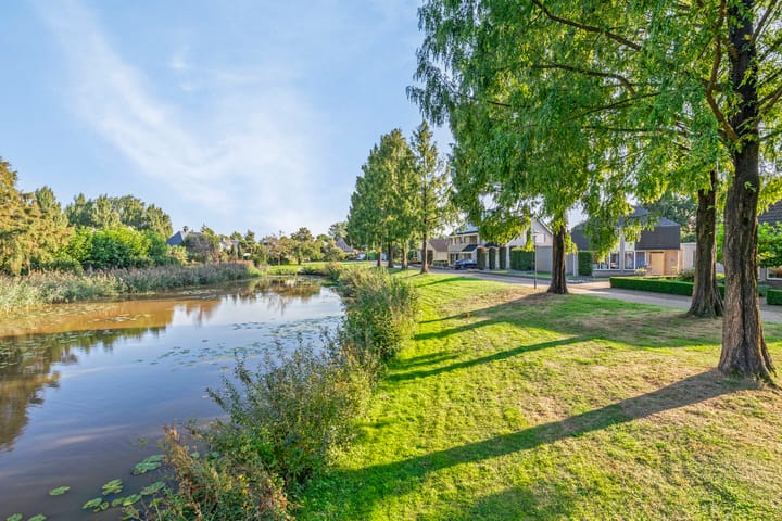 Foto 2 van Saffraanveld 57